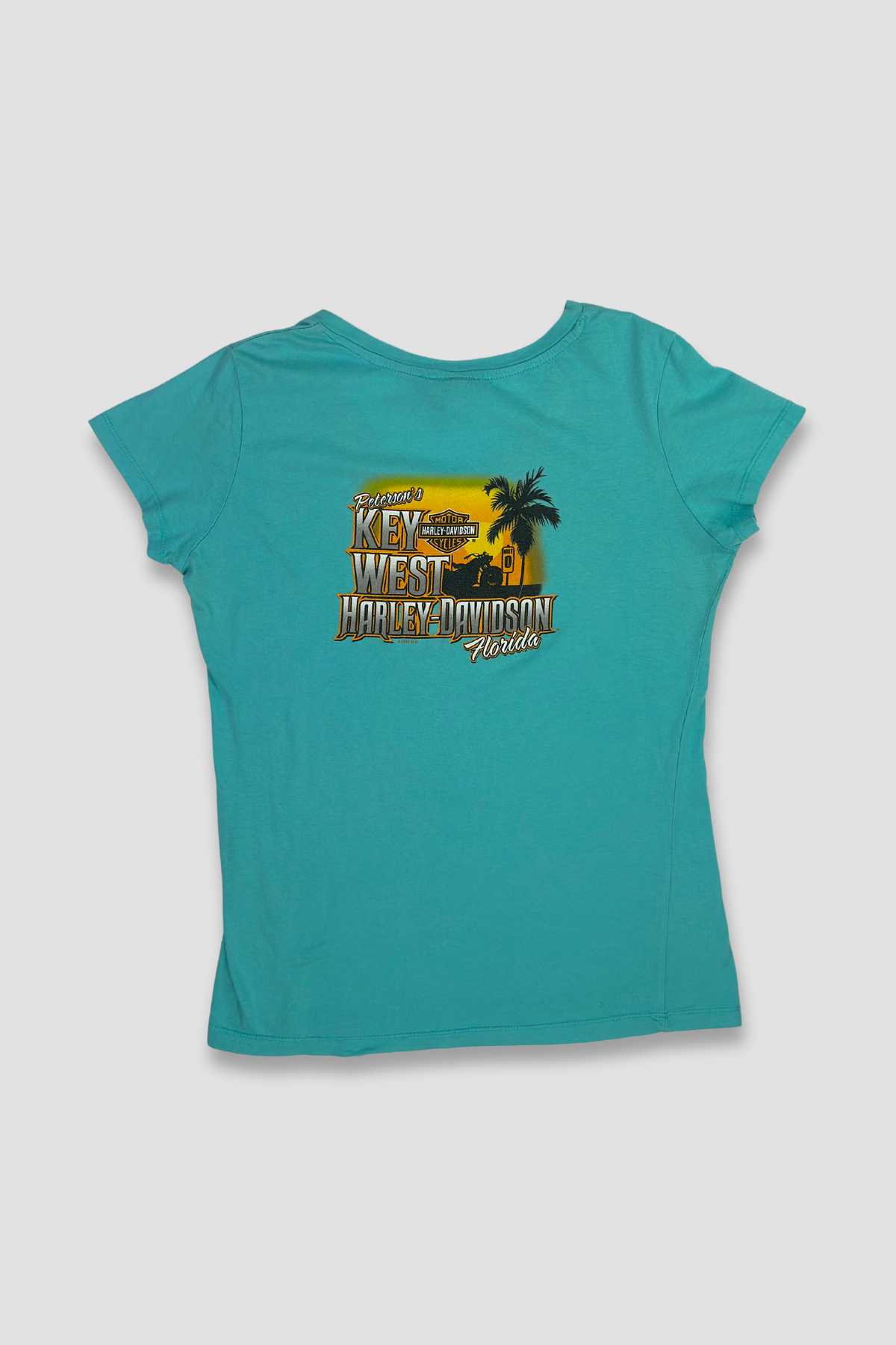 Harley Davidson's Tweety Bird Teal Graphic V-Neck T-Shirt