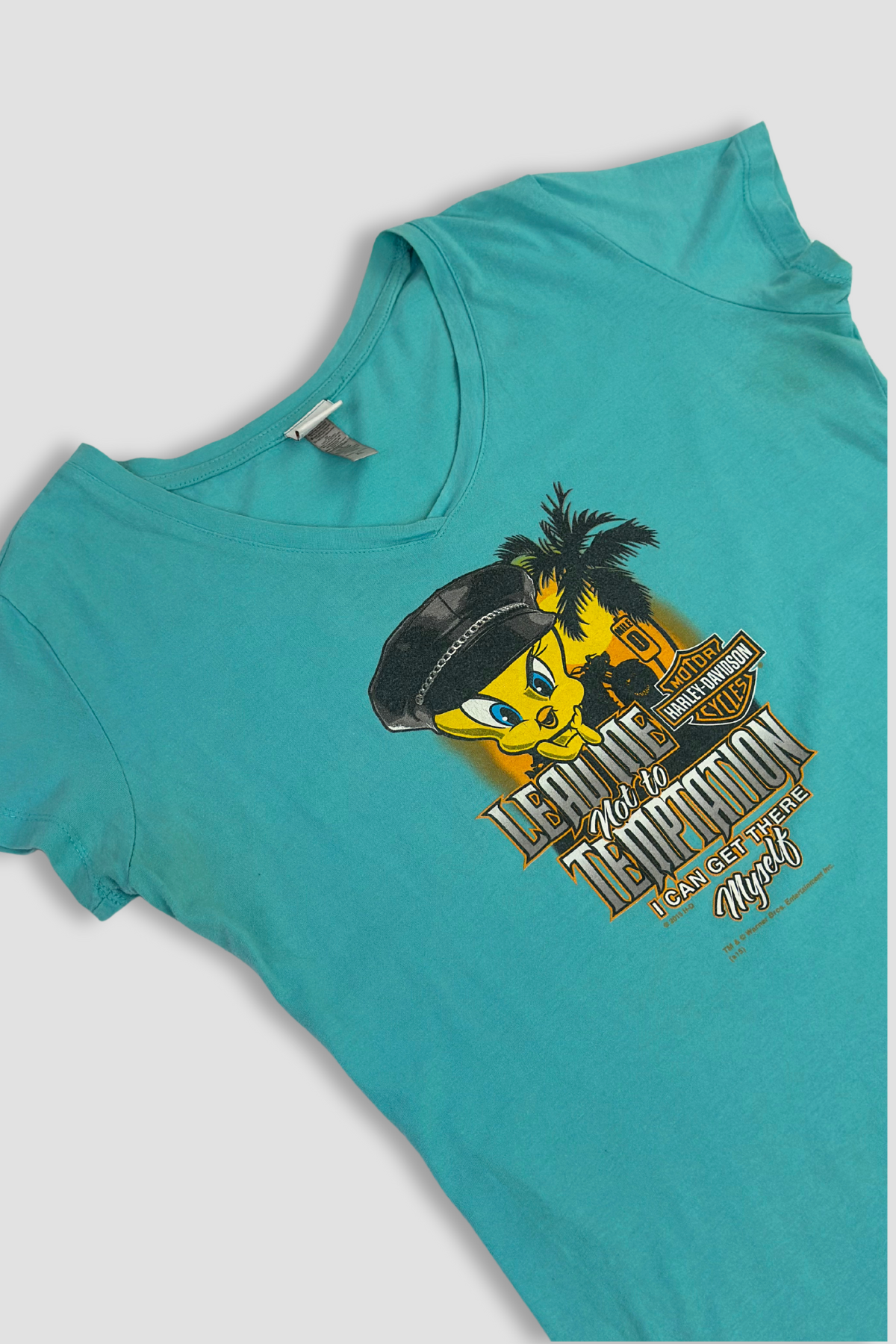 Harley Davidson's Tweety Bird Teal Graphic V-Neck T-Shirt