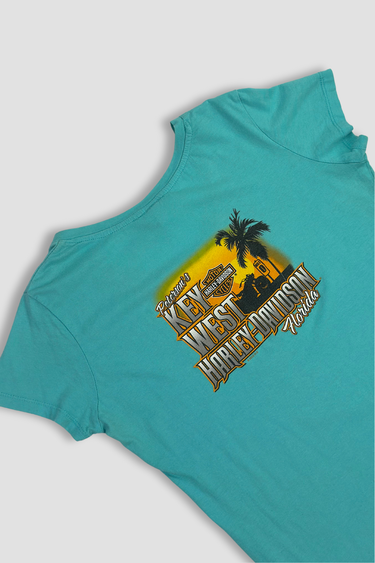 Harley Davidson's Tweety Bird Teal Graphic V-Neck T-Shirt